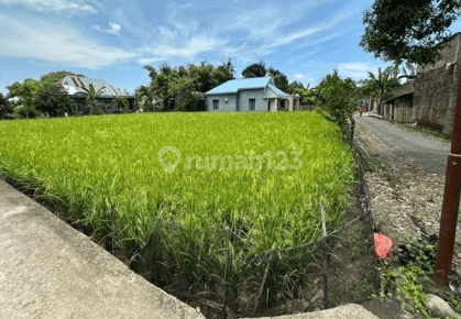 Dijual Tanah sekitar Galesong, Takalar 1