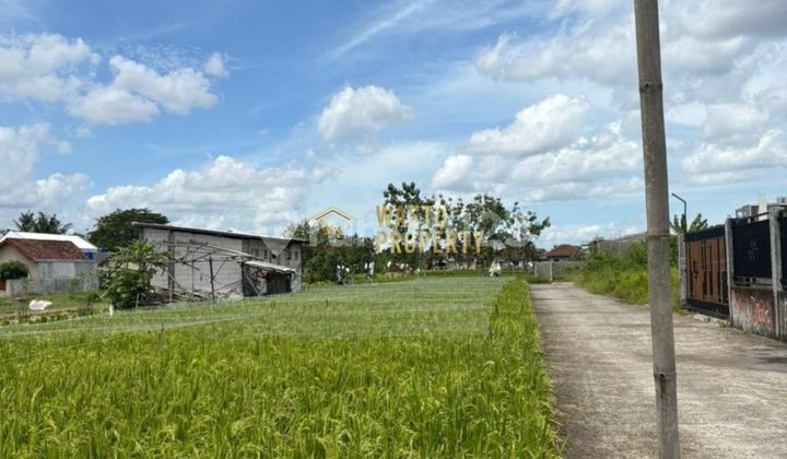 For Sale, Spacious Land, Hook Position, 500 Meters From North Ring Road For Sale, Spacious Land, Hook Position, 500 Meters From North Ring Road