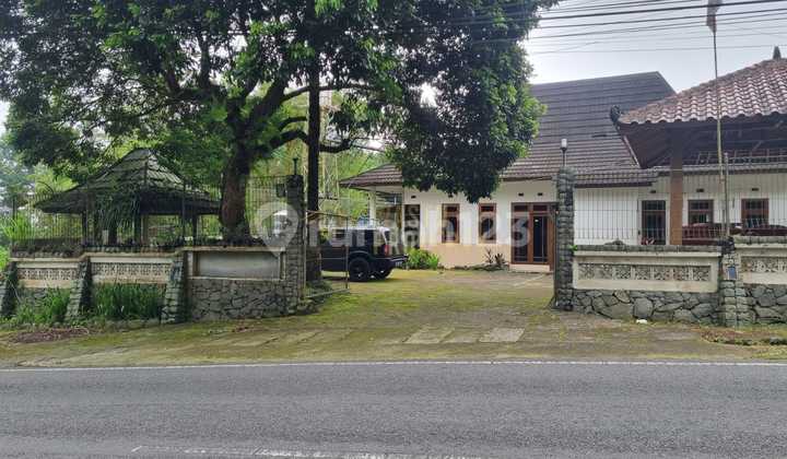 Villa for Sale with Large Land and SHM Yard in Kaliurang, Jogja Villa for Sale with Large Land and SHM Yard in Kaliurang, Jogja