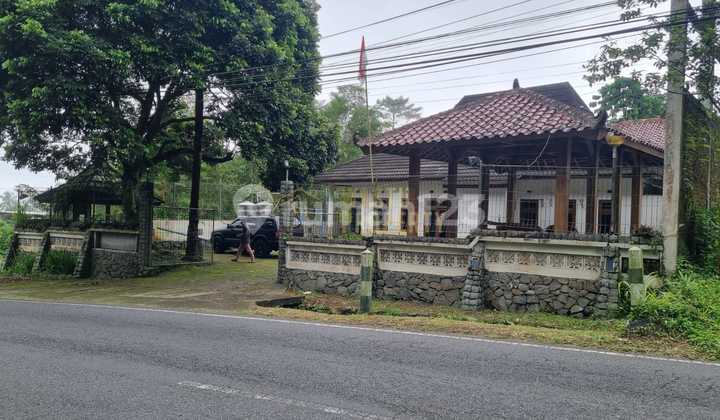 Villa for Sale with Large Land and SHM Yard in Kaliurang, Jogja Villa for Sale with Large Land and SHM Yard in Kaliurang, Jogja