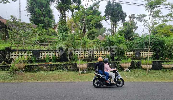 Large Villa for Sale with Extensive Land in Kaliurang, Near Tugu Udang Large Villa for Sale with Extensive Land in Kaliurang, Near Tugu Udang