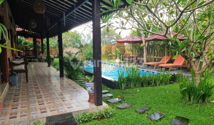 For Sale Villa in Pakem, Large Land, Swimming Pool Included For Sale Villa in Pakem, Large Land, Swimming Pool Included
