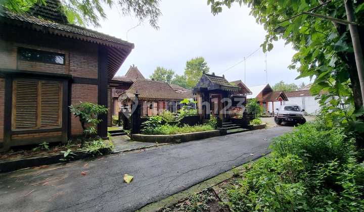 Selling at a Loss Joglo House Auction Price in Minggir Sleman 1