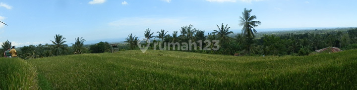 North Bali hillside land close to Lovina  (NB-L032) 2