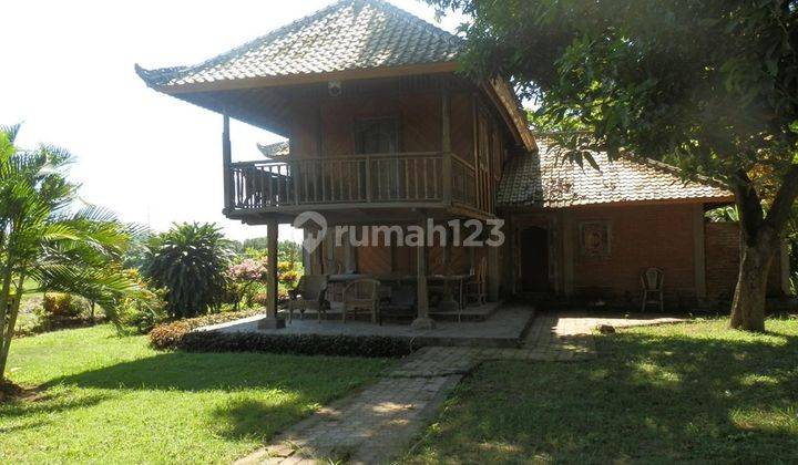 North Bali Ocean View Property (NW-V006) 2