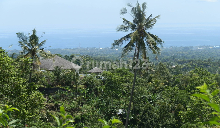 North Bali Panji farm land (NB-L033) 2