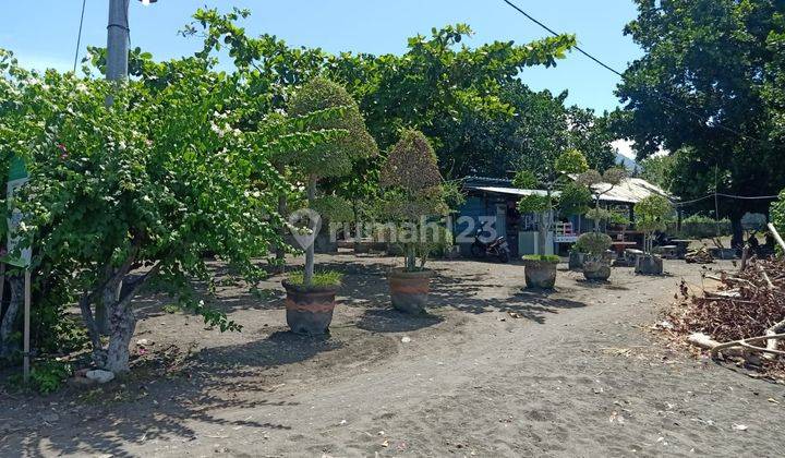 North West Bali beachfront land (NW-L010) 1