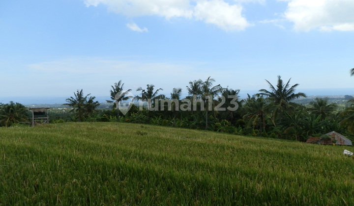 SHM Land 8300 m2 Panjianom, Buleleng SHM Land 8300 m2 Panjianom, Buleleng