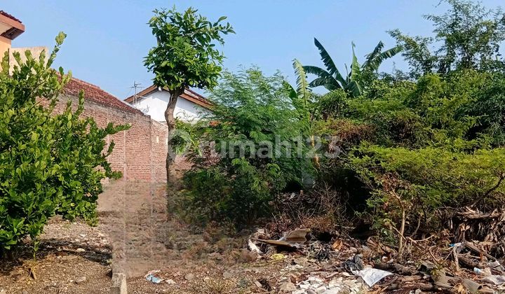 Dijual Tanah Datar Sudah Urug Dekat Kampus Unimus Kedungmundu 2