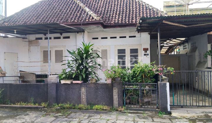 Rumah Pusat Kota Jember 1