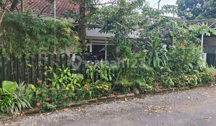 Ready-to-Live House in the Center of Jember City 1