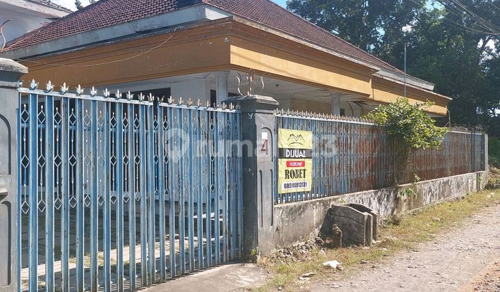 Rumah Pusat Kota Jember 1