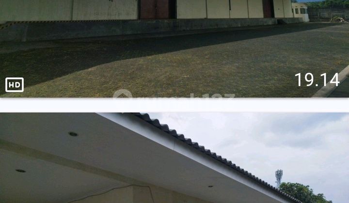 Provincial Warehouse Line Jember Provincial Warehouse Line Jember