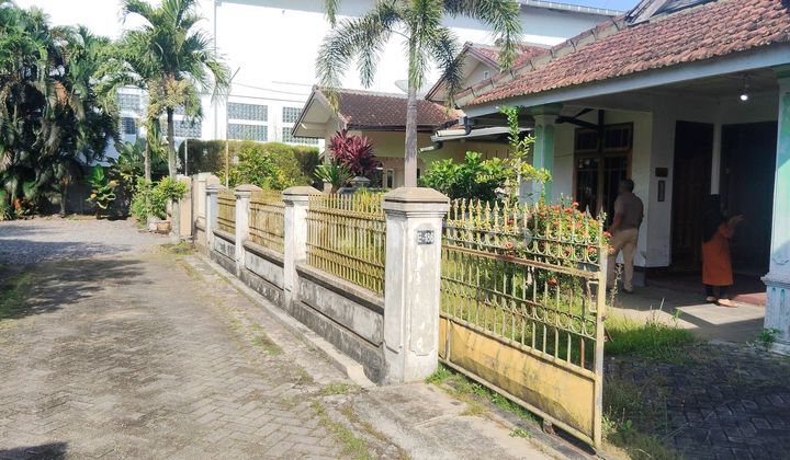 Rumah Pusat Kota Jember Harga Tanah Aja 1