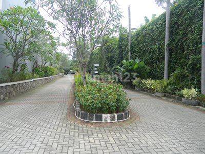 For Rent Fabulous Atmosphere Of House Compound In Kemang 2