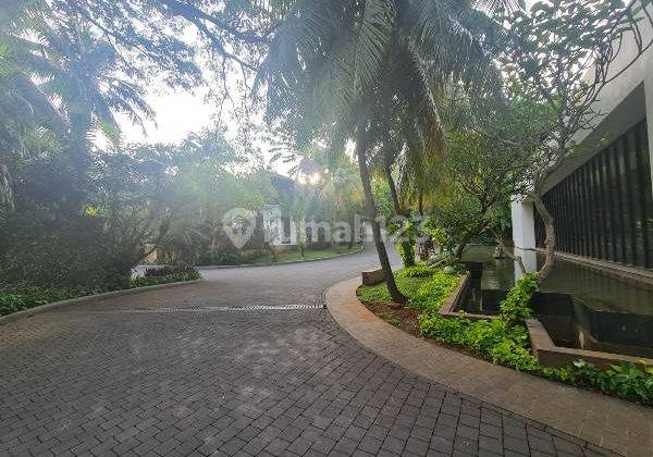 Beautiful House Like A Resort Bali In Antasari Jakarta