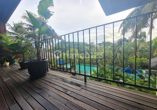 For Rent A Beautiful Apartment With Best View Like Living In Bali 7