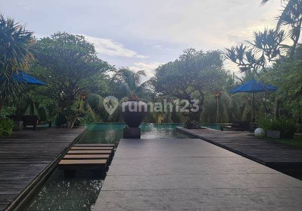 For Rent A Beautiful Apartment With Best View Like Living In Bali 16