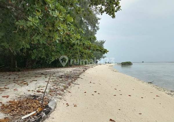 For Sale The Beautiful Nature Of Melinjo Island In Thousand Island  1