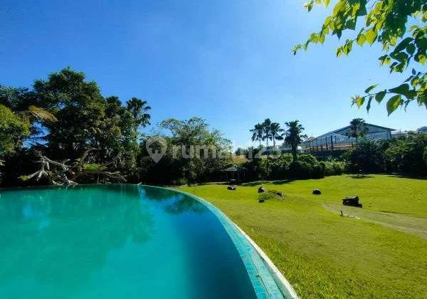 Huge Garden Wedding Party Villa Umalas, Bali Under Market Price 1