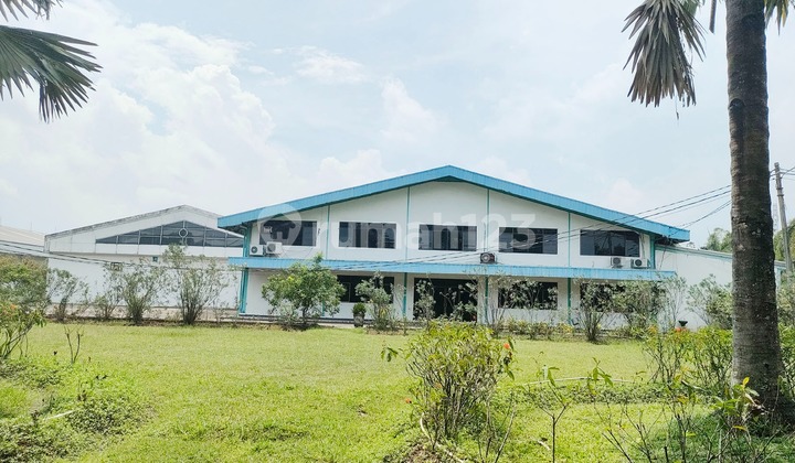 Dijual Pabrik Sarung Tangan Kokoh di Serang Banten, Dilengkapi Mess Untuk Karyawan Dijual Pabrik Sarung Tangan Kokoh di Serang Banten, Dilengkapi Mess Untuk Karyawan