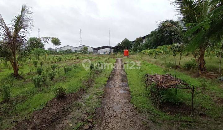 Gudang di JL. RAYA CIKANDE RANGKAS BITUNG, SERANG 2,9 HEKTAR SHM 3