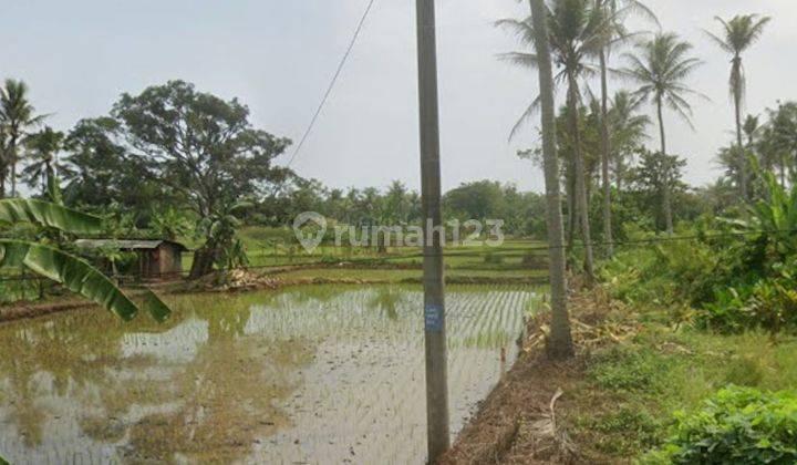 Tanah 4,2 Hektar Pinggir Jl. Raya Panimbang Pandeglang, Dekat Akses Toll Baru 1