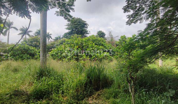 Tanah Di Area Industri Di Gunung Sindur Luas 1,6 Hektar Pinggir Jalan Raya 2