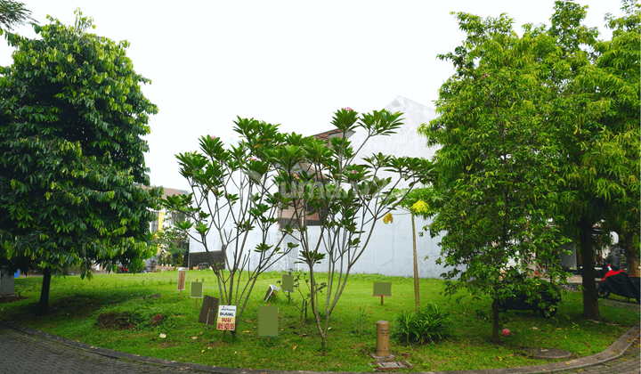 Kavling Foresta Albera Bsd City Posisi Hook Utara Dan Timur  1