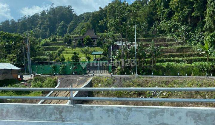  Villa Cantik dan tanah 1500m2 Bonus Usaha Harga Murah BU bisa Usaha Bedugul Bali 2