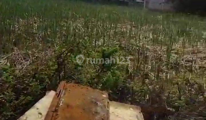 Butuh Cepat Tanah Murah di Bawah NJOP di Jl Raya Perancis 5250 m² Dadap Tangerang 2