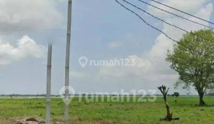 Tanah Murah Strategis  22 Ha-50 Ha Cocok Cluster Perumahan/Kawasan Pergudangan Pinggir Jalan Raya Sukawenang Bekasi 2