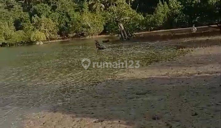 Tanah Pinggir Pantai 4 ha Murah Cocok Wisata Bahari di Kepulauan sula Sanana Utara kepulauan Maluku 1