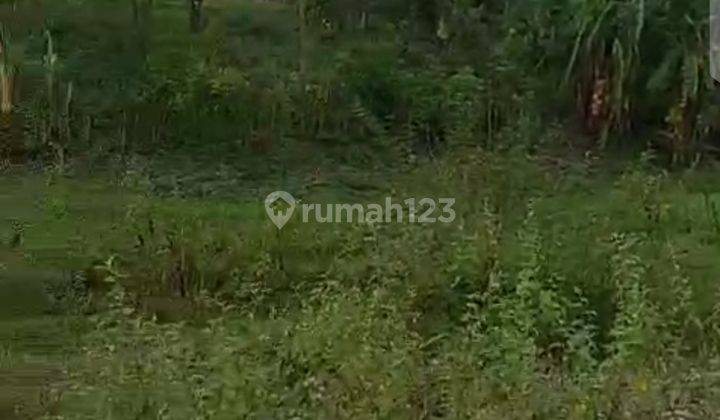 Lahan Cantik Strategis Dibawah Njop Cuma 500 Rb/ Mtr Cocok Pabrik Zona Industri Di Karawang Timur 2