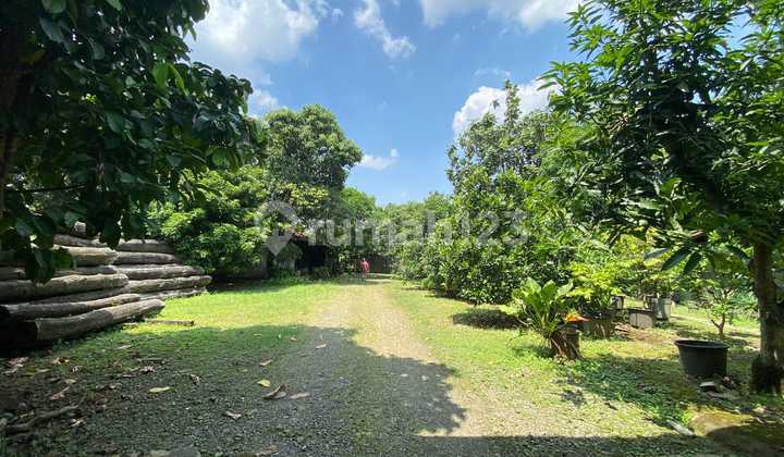 Disewakan Tanah Pinggir Jl.Raya Hasyim Ashari 2400m2 Cipondoh Ria