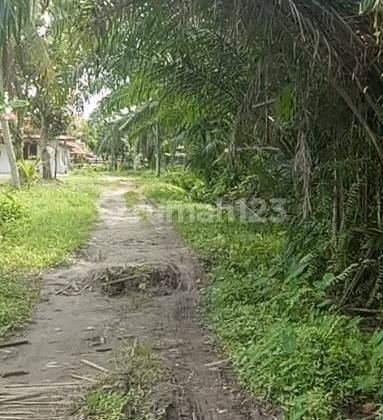 Dijual Cepat Tanah di Pinggir Jalan nurmen  1