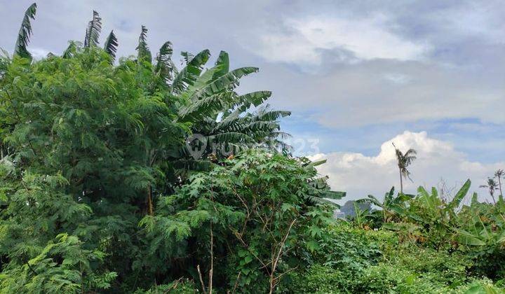 Di Jual Cepat Lahan Kosong Cimone Tanggerang Lh 11
