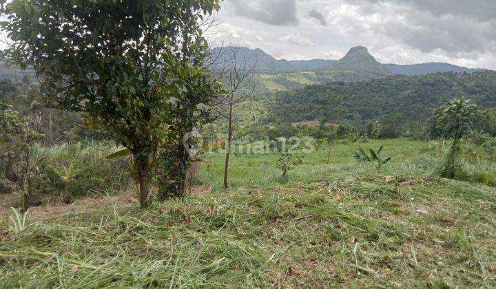 Jual Murah Lahan Jonggol Gunung Siem, Jonggol Bogor Lh  1