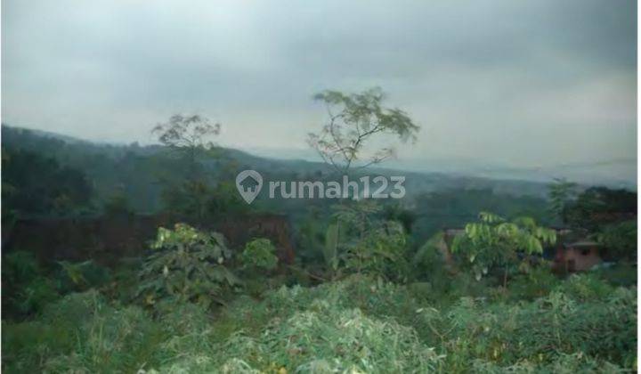 Dijual Tanah di Bogor Lokasi jalur wisata alam Curug Nangka NCY 1