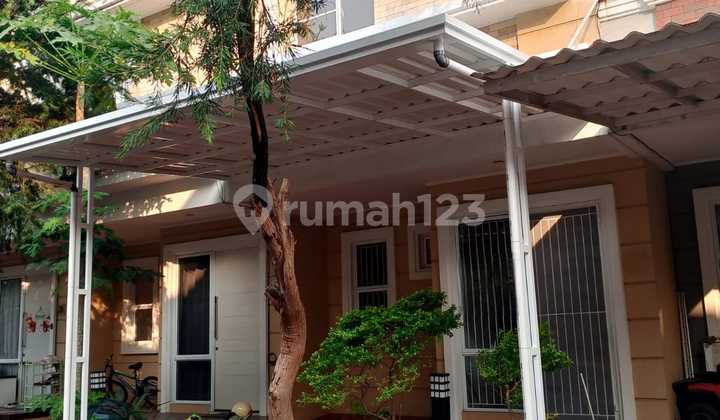 For Rent Ready-to-Occupy House Amarillo Village Gading Serpong Yua