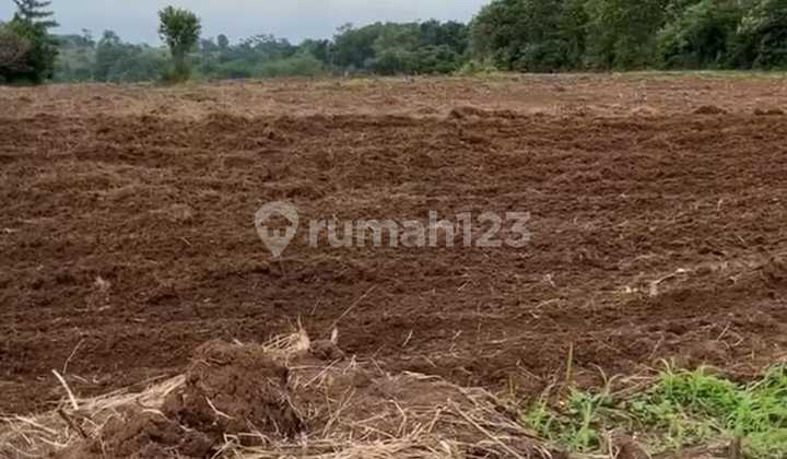 Jual Tanah 14ha Lokasi Bagus Di Maja Balaraja Tangerang Sty Jual Tanah 14ha Lokasi Bagus Di Maja Balaraja Tangerang Sty