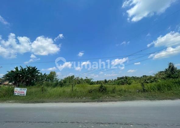 Jual Tanah Lt 3.400 Di Pinggir Jl Raya Maja Lebak Banten Yli