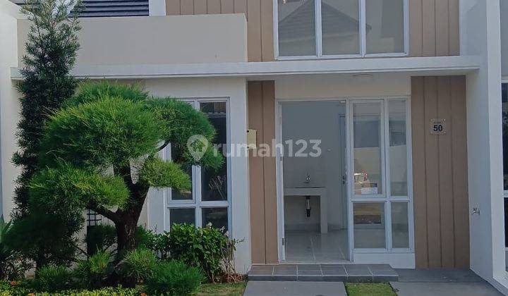 Disewa Rumah 1 Lantai Cluster Aster Paramount Petal Curug Oei 1