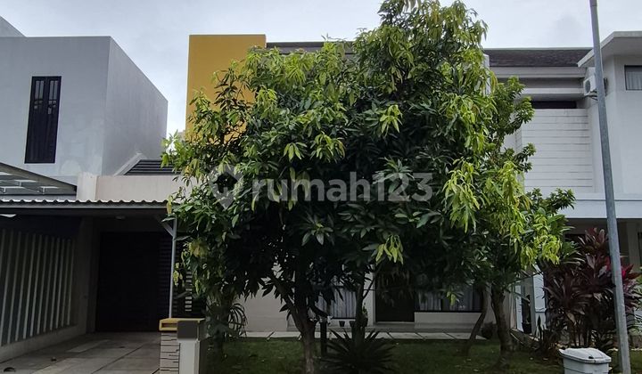 Rumah Disewakan Cluster Allevare, Bsd City Tjn