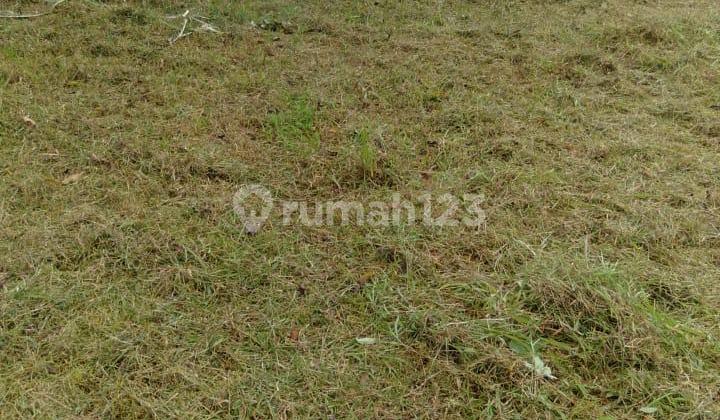 Jual Tanah Luas 1.550m Di Pinggir Jl. Raya Maja Lebak Banten Yli