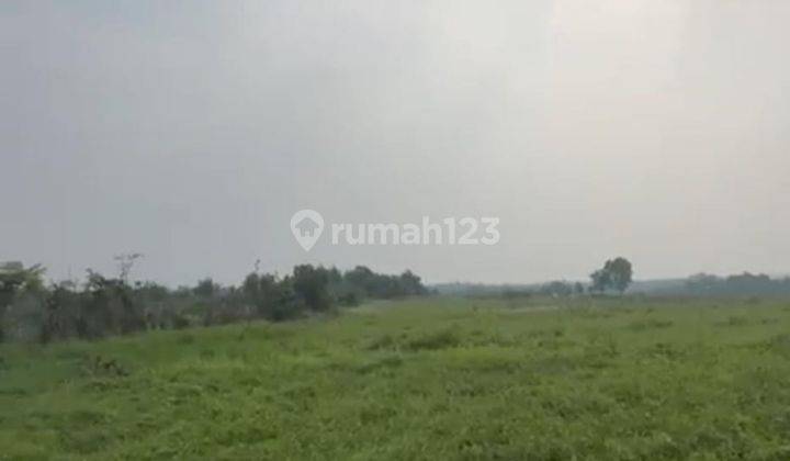 Dijual Tanah di Daerah Maja Luas 16.2 Ha Tangerang So 1