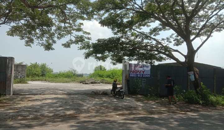 Kavling Murah Daerah Cikupa Mauk Tangerang Nvy