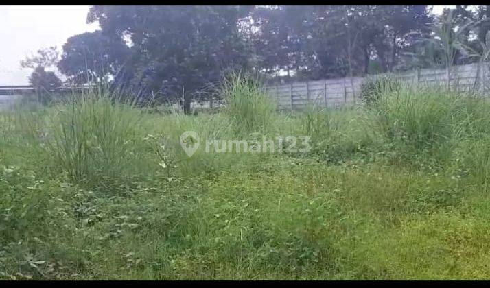 Di Jual Lahan 9.000 m² Di Cisauk, Tangerang Wl 1