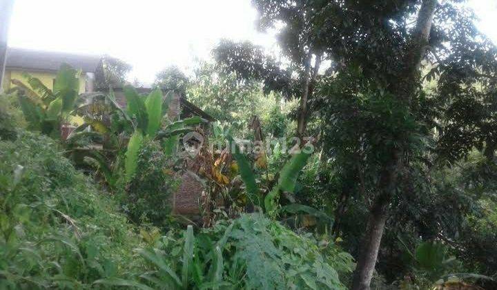 Tanah Kavling 300 Hektar di Cibadak Sukabumi Cocok Investasi dan Kebun 2