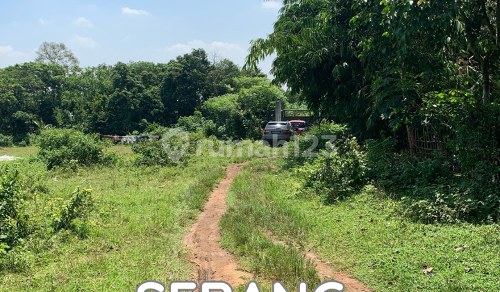 Dijual Kavling Untuk Pergudangan Gudang Di Serang Banten